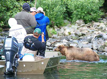 Alaska Bear Viewing