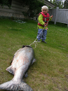 Alaska Kasilof River Kings