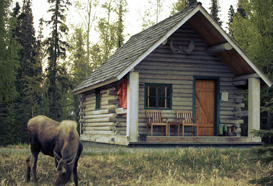 Private Log Cabins