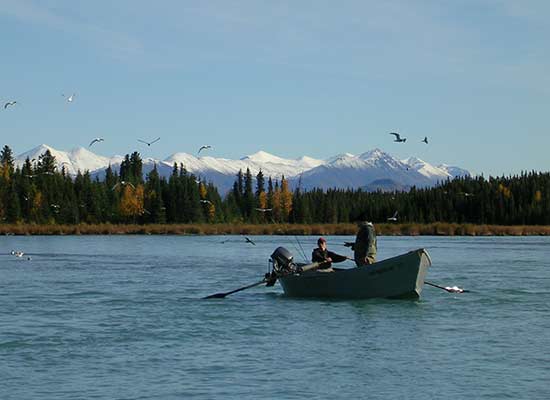 Kenai River Drifting Alaska 