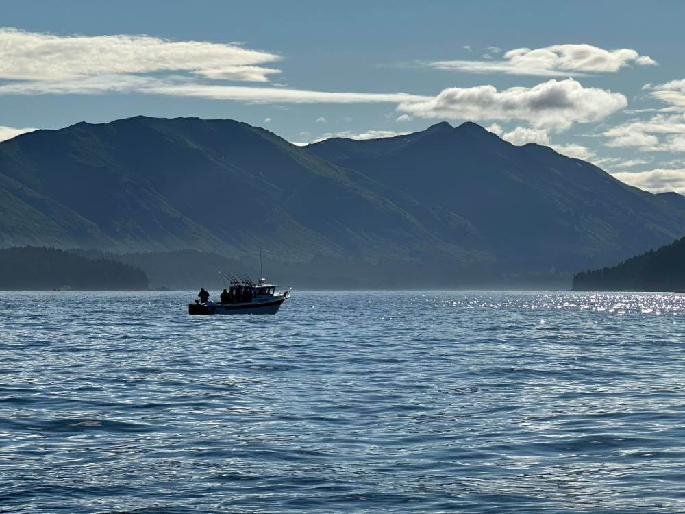 Steelhead fishing