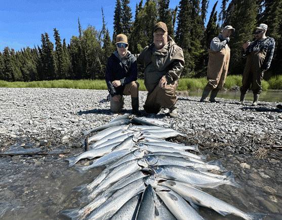 King Salmon